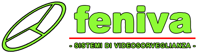 Feniva Videosorveglianza - Torino