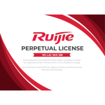 Licenze per i controller Ruijie serie WS - Aumenta il numero di AP gestibili - Fino a 128 AP standard o 256 AP a parete - Invio tramite mail - Licenza perpetua senza rinnovo