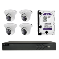 Safire - Kit preconfigurato TVCC - 1 x HTVR3104 1080PLite/720P (25FPS) - 1080PLite/720P (25FPS) - 1 x HD1TB Disco Duro 1TB - 4 x SF-DM833KIB-F4N1 - Camera Dome PRO 1080P 3.6 mm