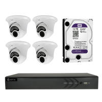 Safire - Kit preconfigurato TVCC - 1 x HTVR3104 1080PLite/720P (25FPS) - 1080PLite/720P (25FPS) - 1 x HD1TB Disco Duro 1TB - 4 x SF-DM933VKIB-F4N1 - Camera Dome PRO 1080P 2.8~12 mm